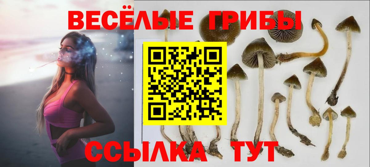 Белгород  Псилоцибиновые грибы Magic Shrooms  как найти   Вход с VPN 